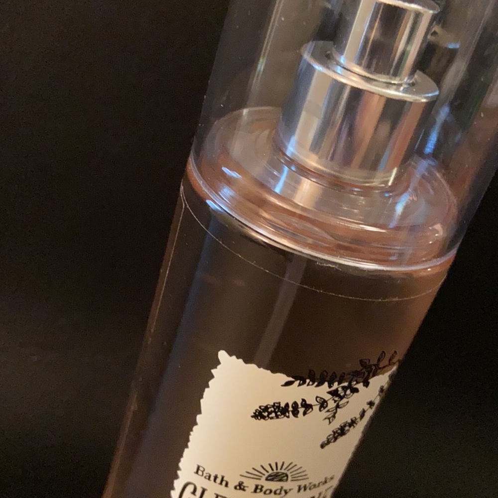 NEW: Bath & Body Works Clementine Mint Leaves RARE - Picture 3 of 8